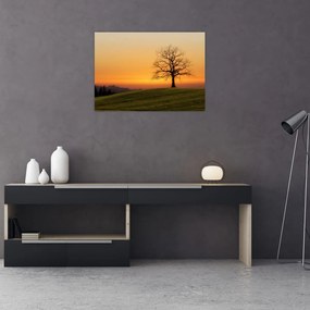 Obraz zachodu słońca na łące (70x50 cm)