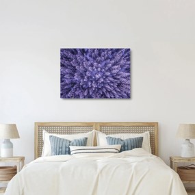 Obraz na szkle ośnieżonych drzew (70x50 cm)