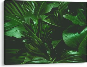 Obraz - Liście palmowe (70x50 cm)