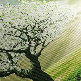 Obraz kwitnącego drzewa (z zegarem) (90x30 cm)