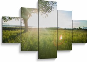 Obraz letniej łąki (125x70 cm)