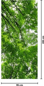 Fototapeta na drzwi - Widok na wierzchołki drzew (95x205cm)