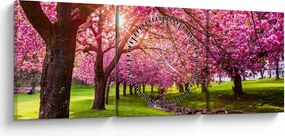 Obraz kwitnących czereśni, Hurd Park, Dover, New Jersey (z zegarem) (90x30 cm)
