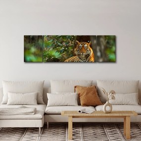Obraz odpoczywającego tygrysa (170x50 cm)