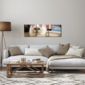 Obraz białego kota (z zegarem) (90x30 cm)