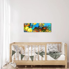 Obraz - Kolorowa rafa koralowa (z zegarem) (90x30 cm)
