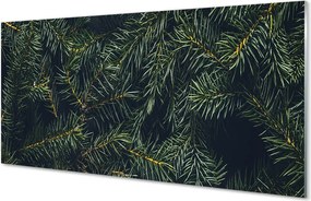 Panel szklany do Kuchni Świerkowe Gałązki