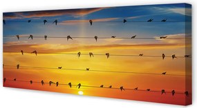 Zdjęcie na płótnie Ptaki na Linach o Zmierzchu