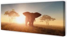 Obraz na płótnie Słoń i Drzewa o Wschodzie