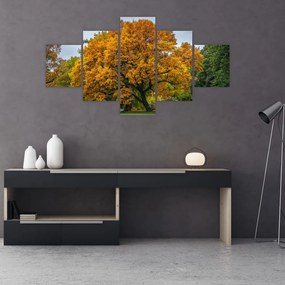 Obraz drzewa (125x70 cm)