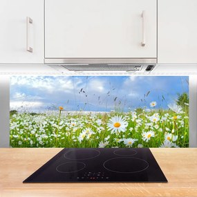 Panel Kuchenny Dywan Białych Stokrotek