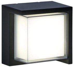 LED Kinkiet zewnętrzny ESSEN LED/12W/230V IP44 czarny