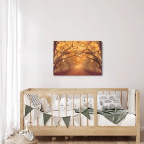 Obraz drogi w jesiennym krajobrazie (70x50 cm)