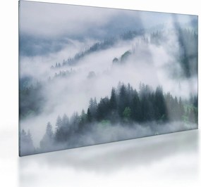 Obraz na szkle - Drzewa we mgle (70x50 cm)