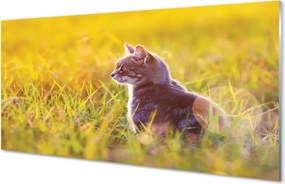 Panel szklany do Kuchni Kot w Trakcie Polowania