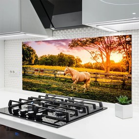Szkło do Kuchni na Ścianę Dzikie Konie Na Pastwisku