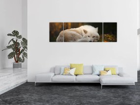 Obraz - Odpoczywający wilk (170x50 cm)
