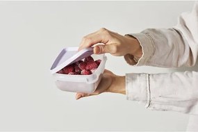 SmartStore Zestaw plastikowych pojemników Freezer 3 szt., lawenda, 1000 ml, 1000 ml