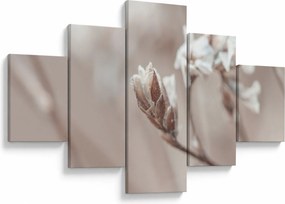 Obraz - Szczegół gałęzi (125x70 cm)