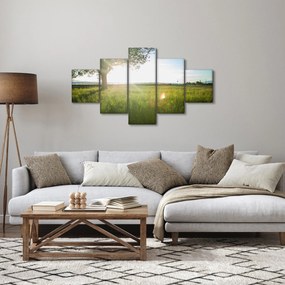 Obraz letniej łąki (125x70 cm)