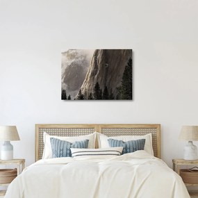 Zdjęcie z Parku Narodowego Yosemite Valley, USA (70x50 cm)