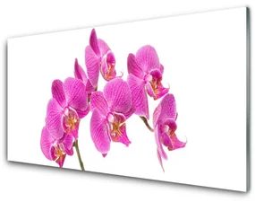 Obraz Szklany Orchidea Kwiaty Natura