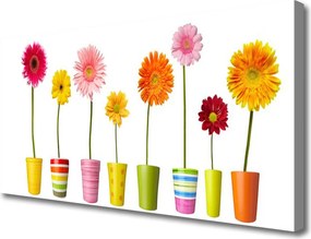 Obraz na płótnie Delikatność Kwiatów Ogrodowych