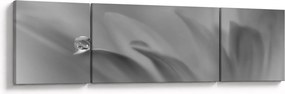 Obraz - Kropla na kwiecie, czarno - biały (170x50 cm)