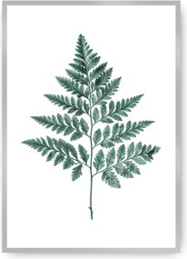 Plakat Fern Emerald Green