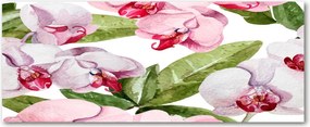 Obraz zdjęcie szkło akryl Różowe orchidee