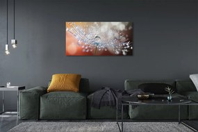 Obraz na płótnie Poranny Detal Dmuchawca