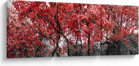 Obraz - Czerwone drzewa, Central Park, New York (z zegarem) (90x30 cm)