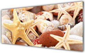 Panel Szklany Kompozycja Muszli na Brzegu