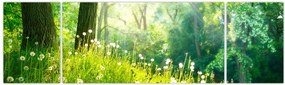 Obraz - Magiczna łąka pełna mniszków lekarskich (170x50 cm)