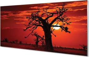 Szklany Panel Drzewa pod Zachmurzonym Niebem