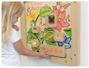 Cykl życia motylka tablica edukacyjna masterkidz