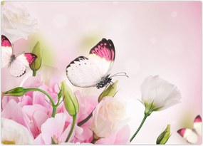 Obraz na szkle - Motyl (70x50 cm)