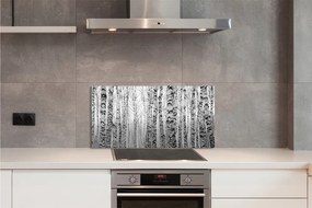 Szklany Panel Czarno-białe brzozy