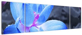 Obraz szczegółu kwiatu (170x50 cm)