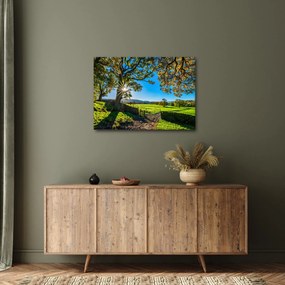 Obraz - widok pola (70x50 cm)