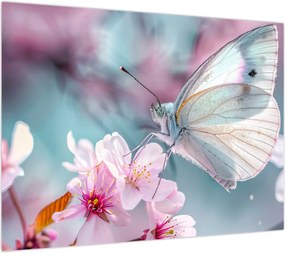 Obraz - Motyl na drzewie wiśni (70x50 cm)