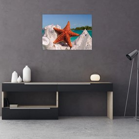 Obraz rozgwiazdy (70x50 cm)