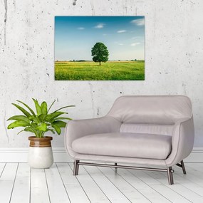 Obraz na szkle drzewa na środku łąki (70x50 cm)
