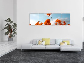 Obraz - Łąkowe kwiaty (170x50 cm)
