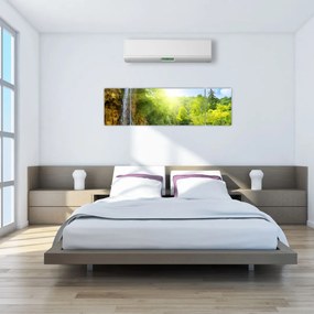 Obraz - wodospady w pralesie (170x50 cm)