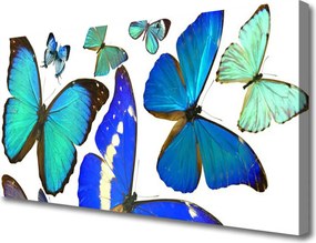 Fotoobraz na płótnie Taniec Motyli na Wietrze