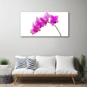 Obraz Canvas Storczyk Kwiat Orchidea