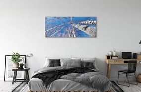 Zdjęcie na płótnie Brzozy na Tle Nieba