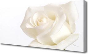 Fotoobraz na płótnie Romantyczny Bukiet Róż