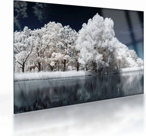 Obraz na szkle - Śnieżnobiałe drzewa (70x50 cm)